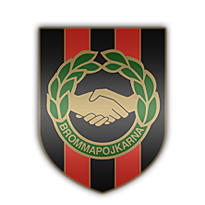 home team logo