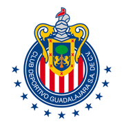 home team logo