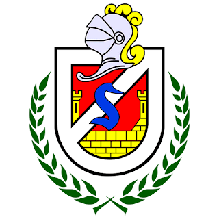 home team logo