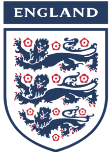home team logo