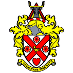 home team logo