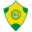 home team logo