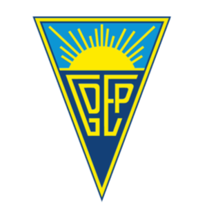 home team logo