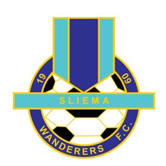 home team logo