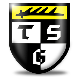home team logo