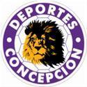 home team logo
