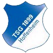 home team logo