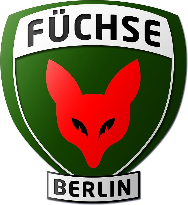 home team logo