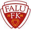 home team logo