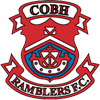 home team logo