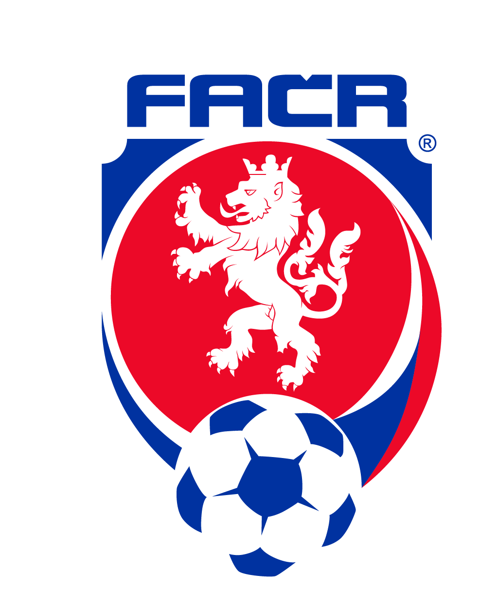 home team logo