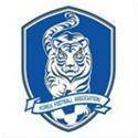 home team logo