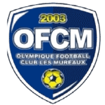 home team logo
