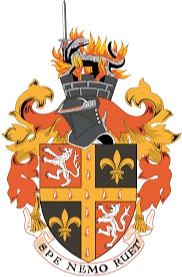 home team logo