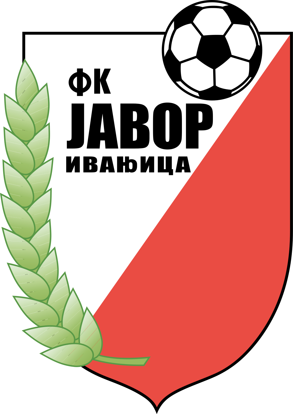 home team logo