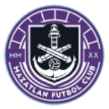 home team logo