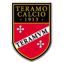 home team logo