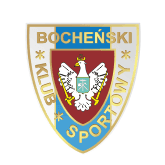 home team logo