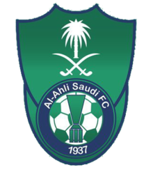 home team logo