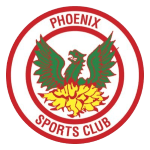 home team logo