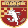 home team logo