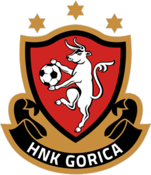 home team logo