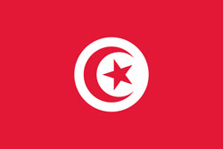 home team logo