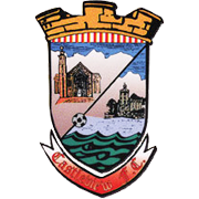 home team logo