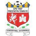 home team logo