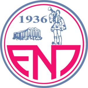 home team logo