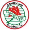 home team logo