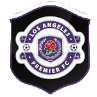 away team logo
