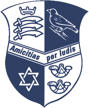 home team logo