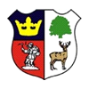 home team logo