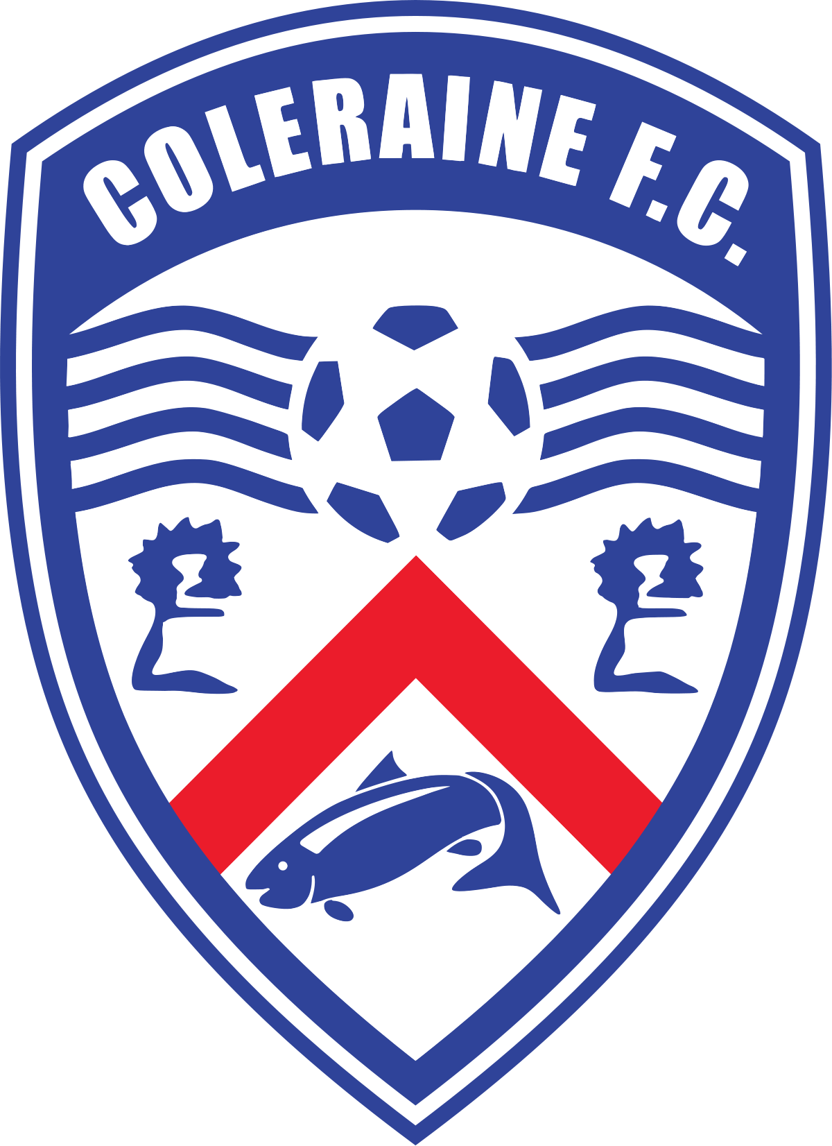 home team logo