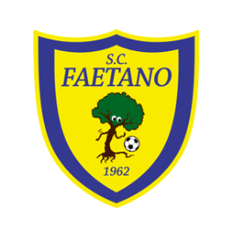 home team logo