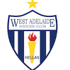 home team logo