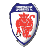 home team logo