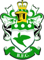 home team logo