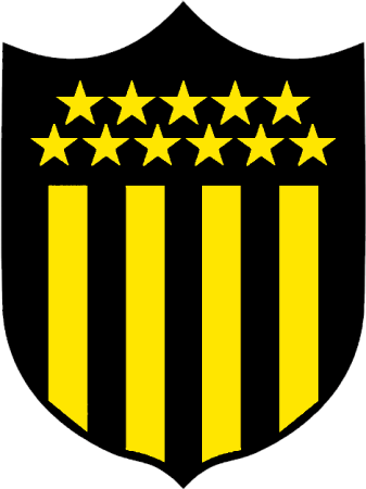 home team logo