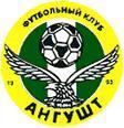 home team logo