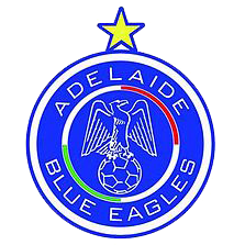 home team logo