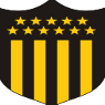 home team logo