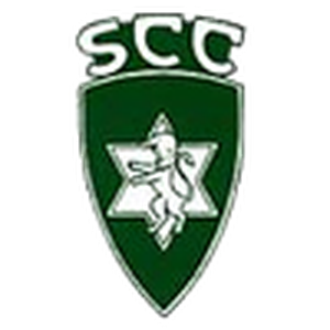 home team logo