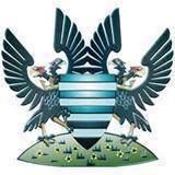 home team logo