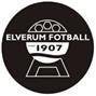 home team logo