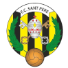 home team logo