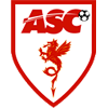 away team logo