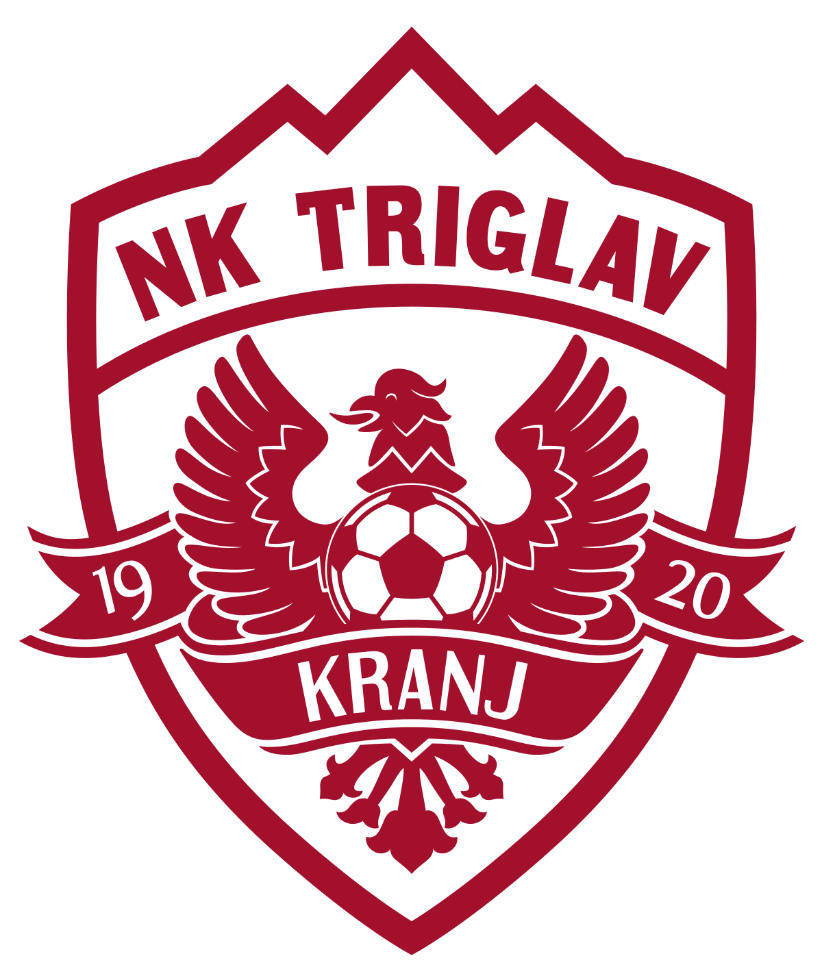 home team logo