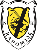 home team logo
